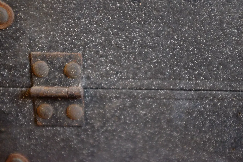 Alexander's rusty black suitcase